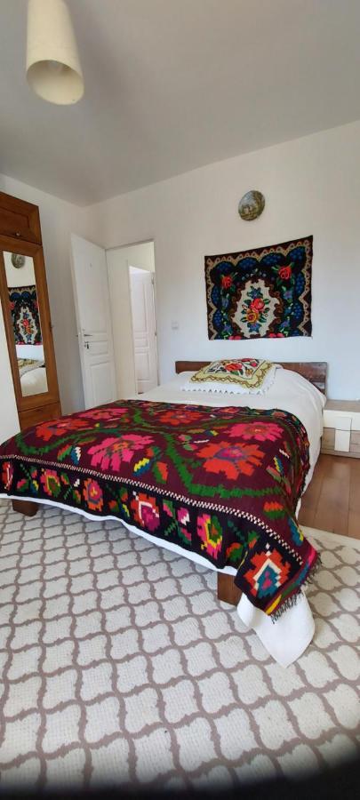 Hotel La Ionica Rozavlea Mm Zewnętrze zdjęcie